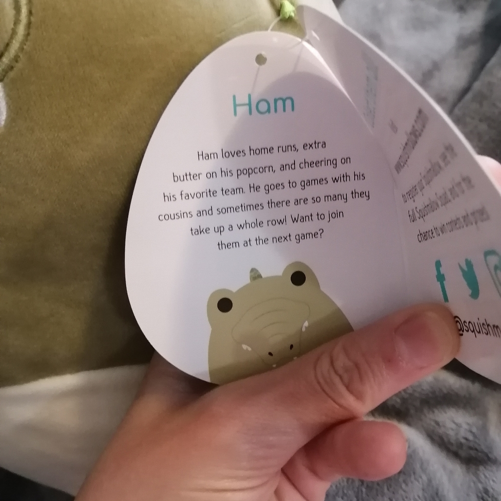 11" Sage green Ham the Gator squishmallow plush - Picture 4 of 5